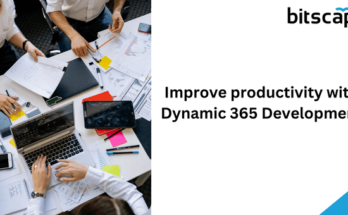 Improve productivity with Dynamic 365 Development