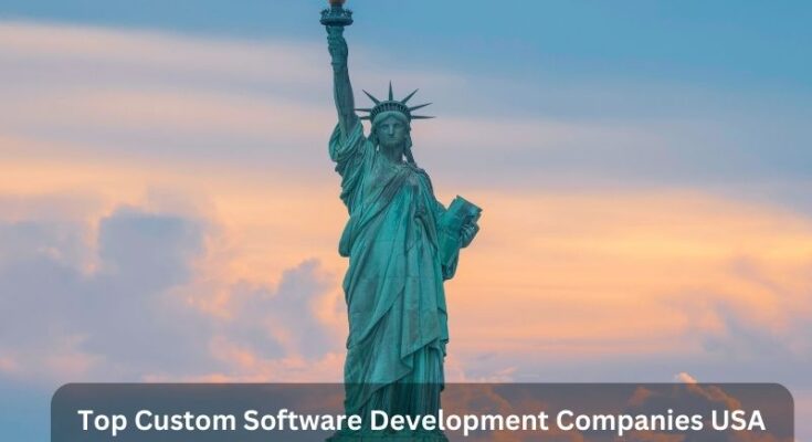 Top Custom Software Development Companies in USA 2023